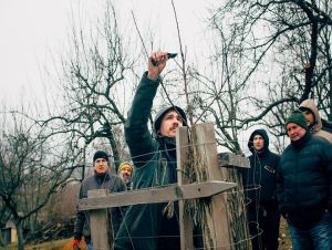 V Naháči chystajú burzu vrúbľov starých ovocných stromov