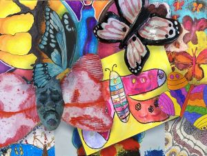 V trnavskom múzeu ukážu Fantastické motýle