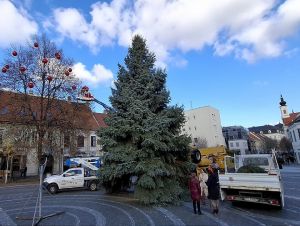Na Trojičnom námestí už stojí vianočný strom, v Brestovanoch po ňom prázdno nezostalo