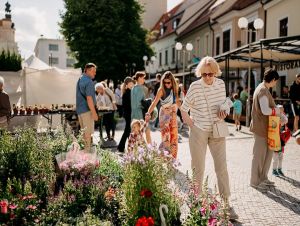 Májový kvet prinesie mnohé sprievodné aktivity, na prihlášky zostávajú posledné dni