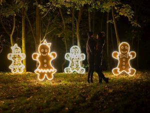 Medolandiu rozžiaria tisícky svetielok, medovníkové postavičky i spievajúce včielky
