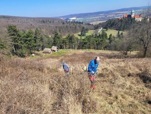 Dobrovoľníci sa vrátia na Molpír, Smolenice pokračujú v revitalizácii vzácnej lokality