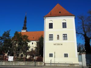Výstava Na motýlích krídlach v múzeu odhalí, čo voľným oko nevidíme