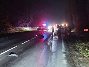 Pri Oravnom zrazilo auto ženu v tmavom oblečení, nehodu neprežila